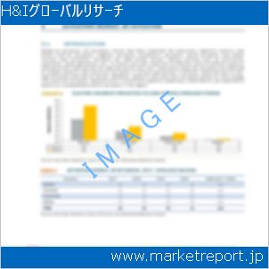 市場と産業調査レポートのイメージ